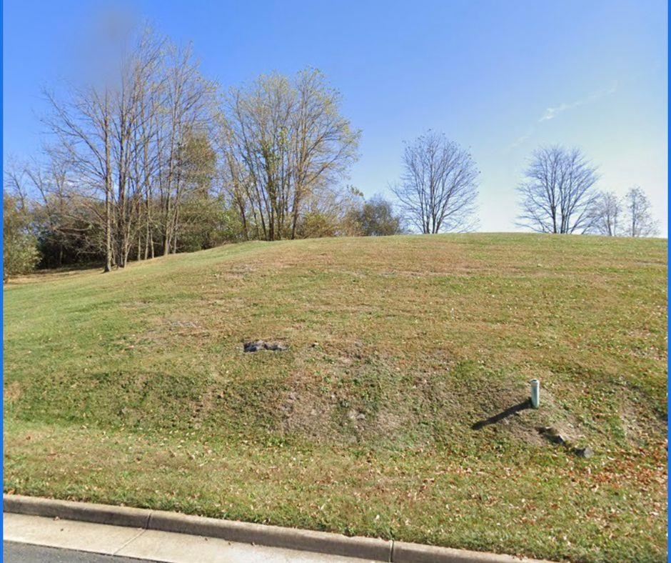 105 Compass Drive Waynesboro, VA 22980 - Photo 3 of 9 a view of large yard with large trees