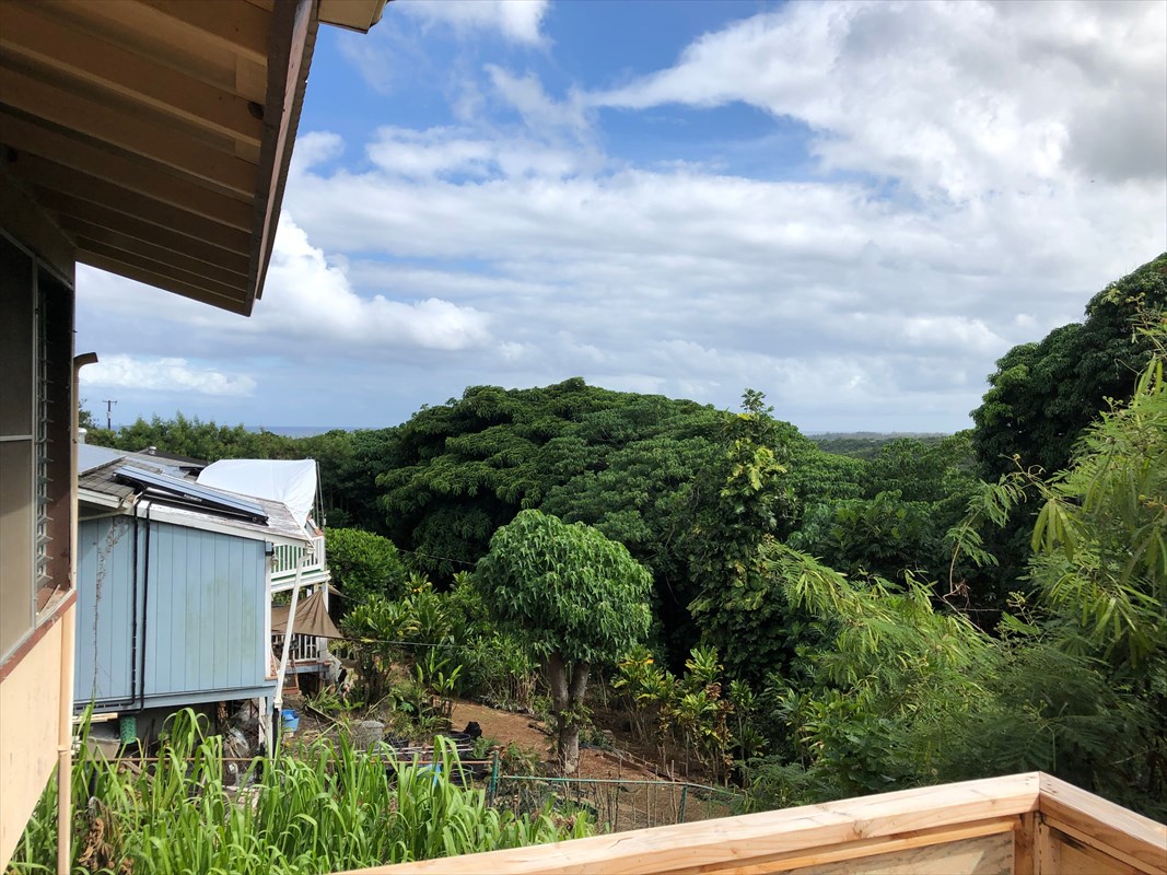 5309 Kihei Road Kapaa, HI 96746 - Photo 11 of 20 a view of a yard