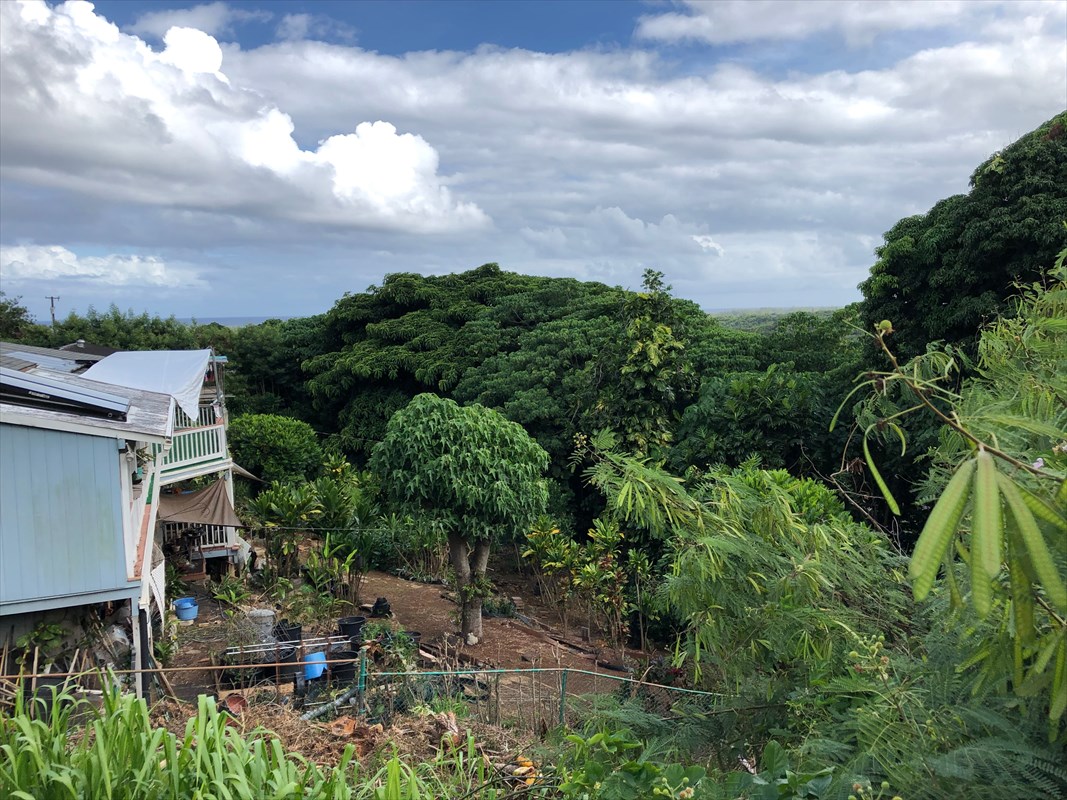 5309 Kihei Road Kapaa, HI 96746 - Photo 13 of 20 a view of a garden
