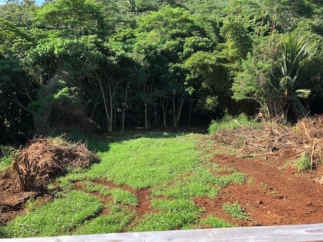 5309 Kihei Road Kapaa, HI 96746 - Photo 14 of 20 a backyard of a house with lots of green space