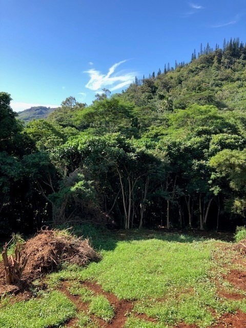 5309 Kihei Road Kapaa, HI 96746 - Photo 15 of 20 a view of a backyard
