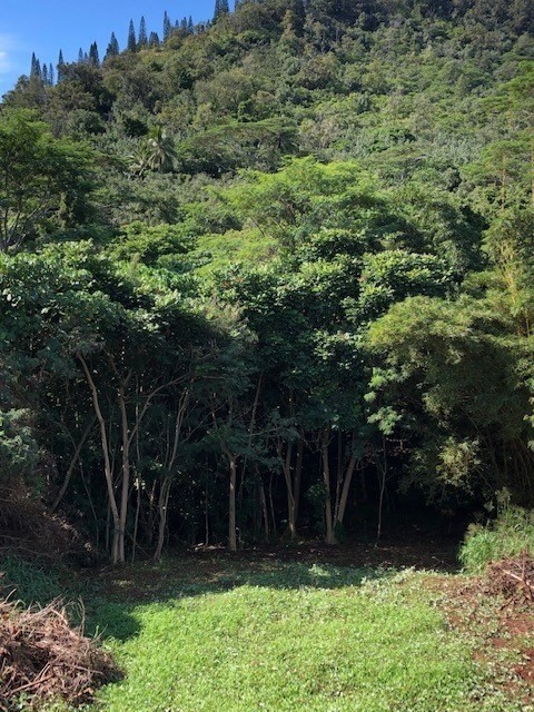 5309 Kihei Road Kapaa, HI 96746 - Photo 18 of 20