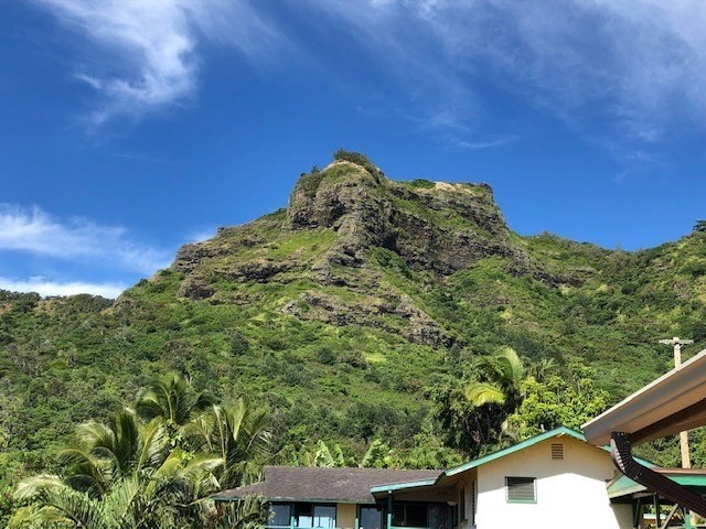 5309 Kihei Road Kapaa, HI 96746 - Photo 19 of 20 a view of a large window with an outdoor space