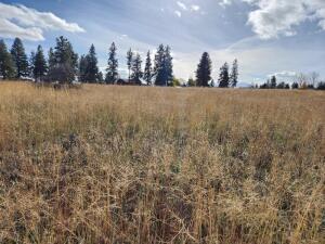 Kerry Drive Chiloquin, OR 97624 - Photo 2 of 3