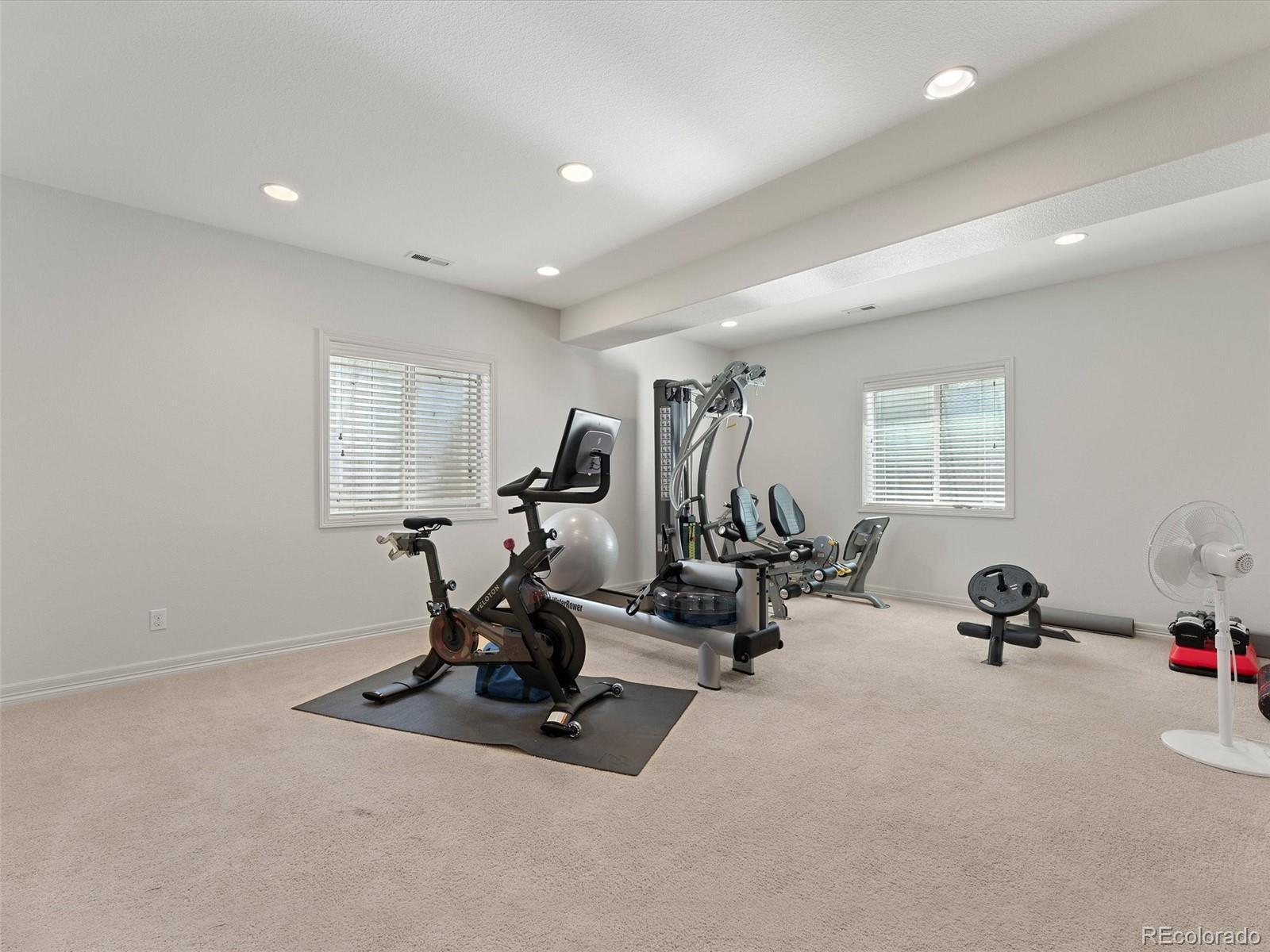 312 Basilwood Way Highlands Ranch, CO 80126 - Photo 22 of 39