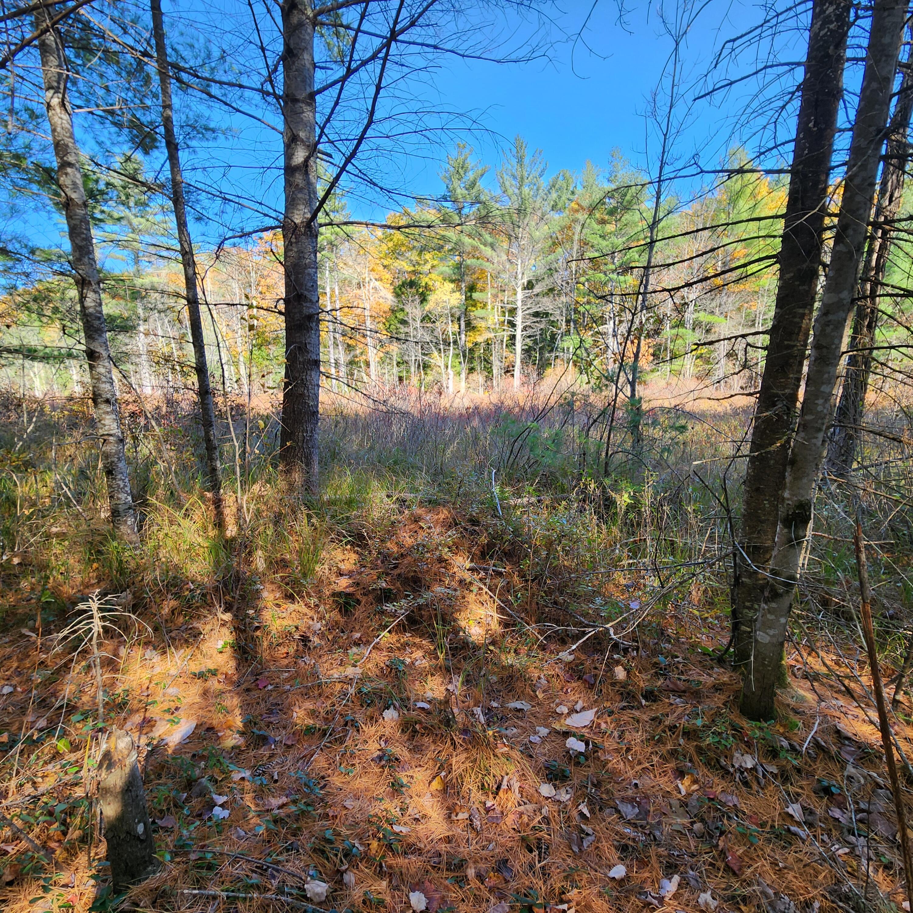 Map2 Map2 Lot7g Livermore, ME 04253 - Photo 20 of 21 20241019_130205