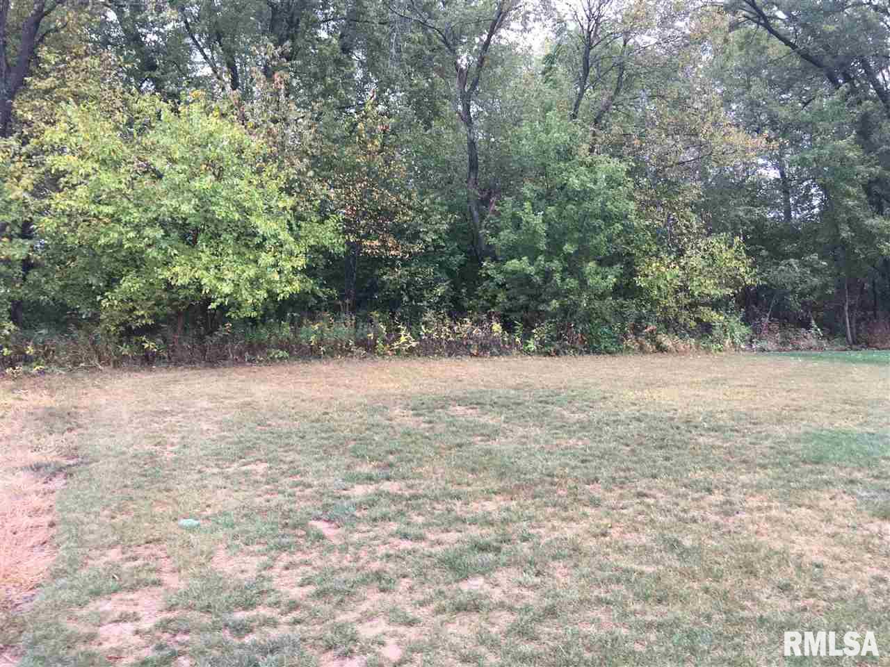 11128 North Tuscany Ridge Court Dunlap, IL 61525 - Photo 14 of 19 Gallery Image 14