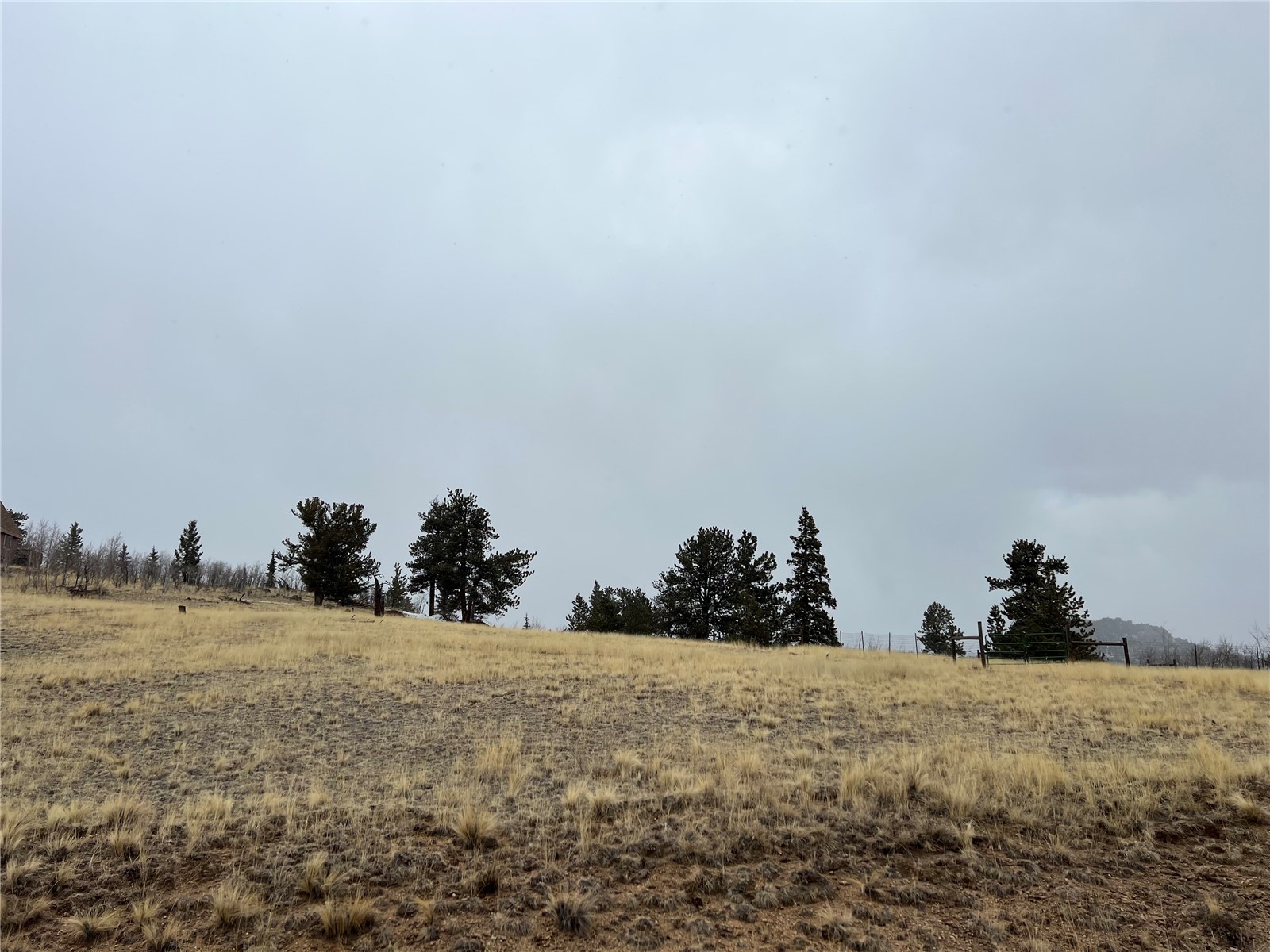 2189 Buffalo Ridge Road Como, CO 80456 - Photo 3 of 10 Gallery Image 3