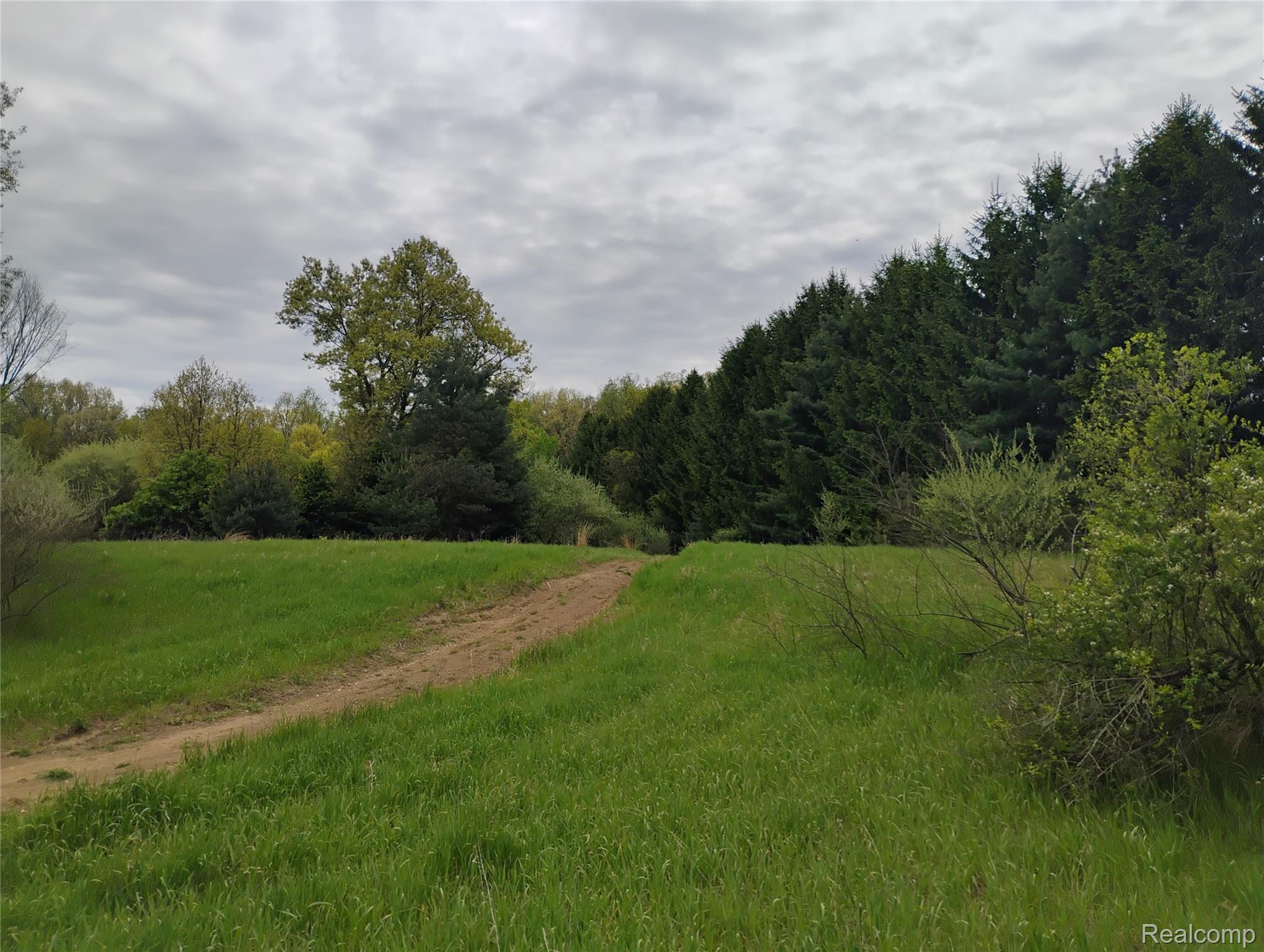 -middle Parcel D Middle Parcel D Middle Road Highland, MI 48357 - Photo 6 of 9 Parcel D.jpg