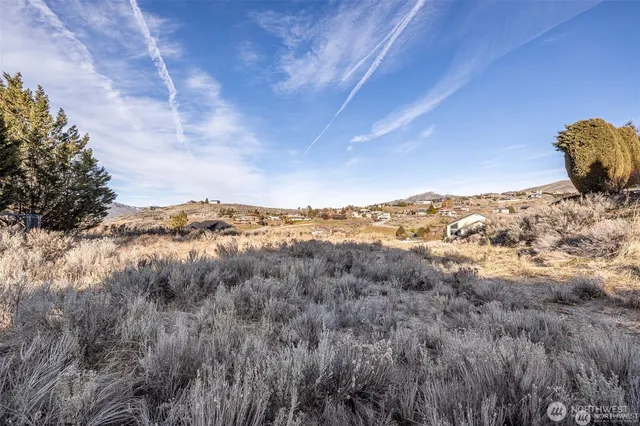 a view of a dry yard with mountains and valleys in the background