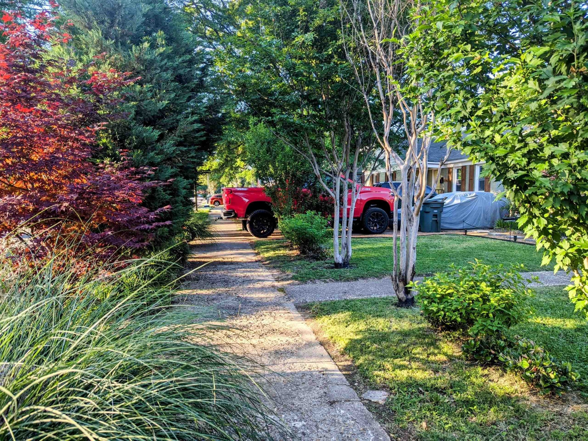1144 Weiner Road Memphis, TN 38122 - Photo 2 of 12 a small garden covered with tall trees