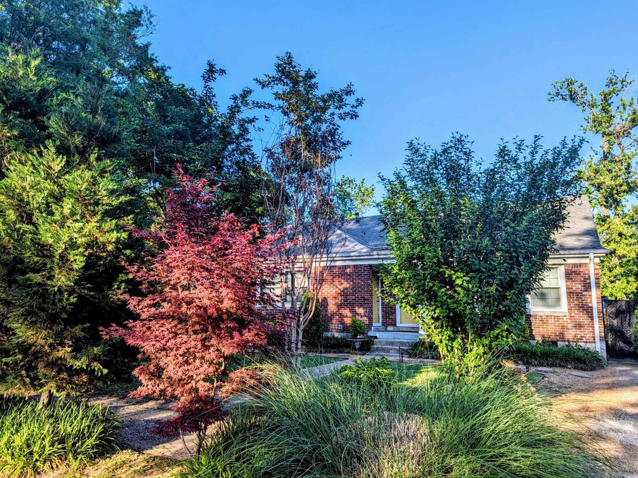 1144 Weiner Road Memphis, TN 38122 - Photo 3 of 12 a view of a house with a yard and garden
