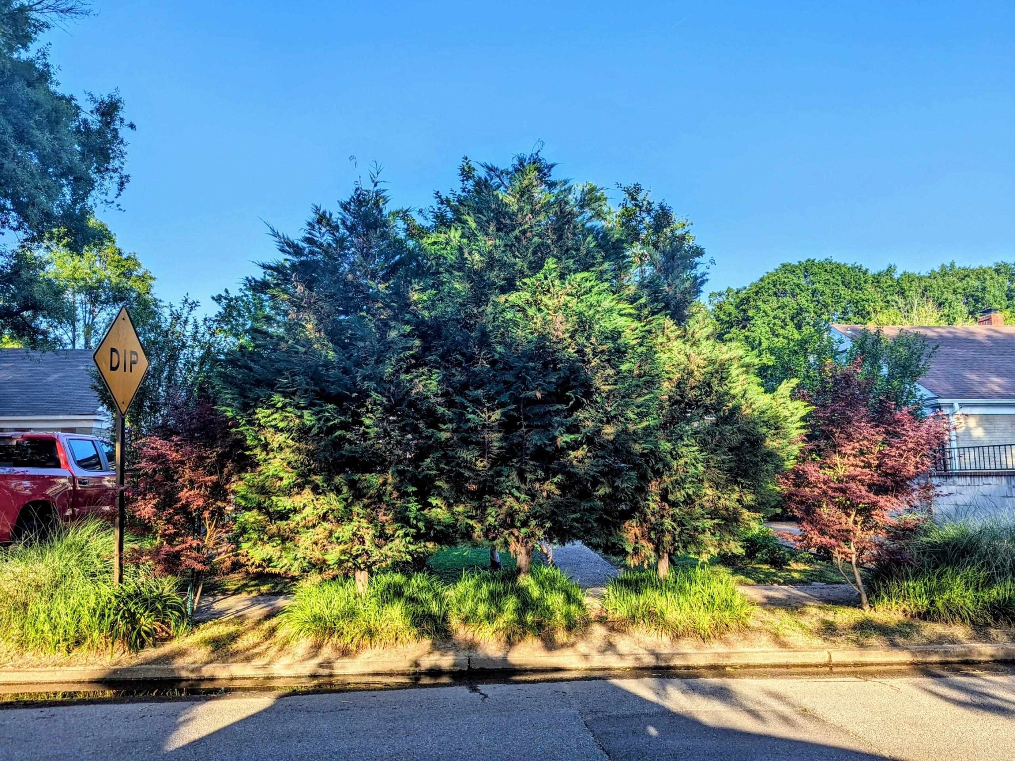 1144 Weiner Road Memphis, TN 38122 - Photo 4 of 12