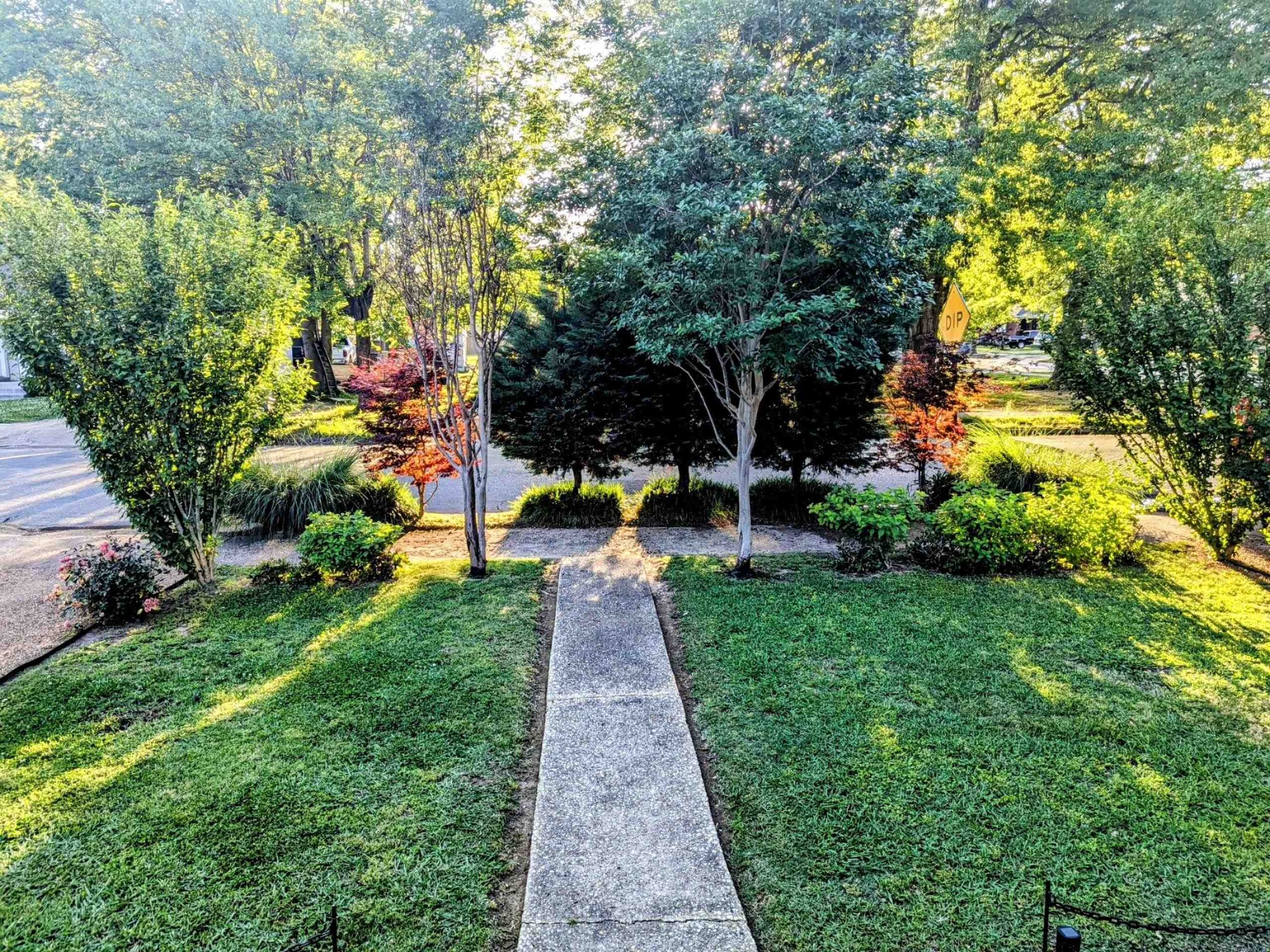 1144 Weiner Road Memphis, TN 38122 - Photo 7 of 12 a view of park with large trees
