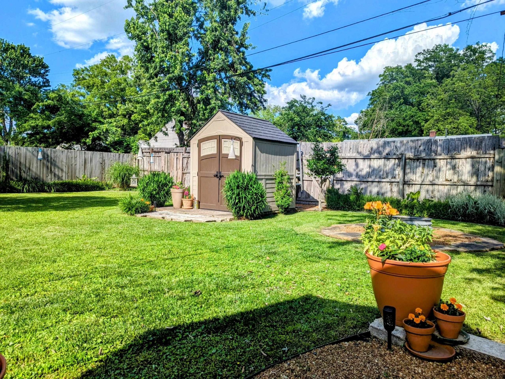 1144 Weiner Road Memphis, TN 38122 - Photo 8 of 12 a view of a backyard with plants and a garden