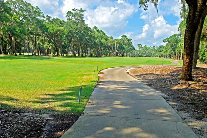 2578 High Hammock Road Seabrook Island, SC 29455 - Photo 22 of 23 MLS_DSC_0167_f2