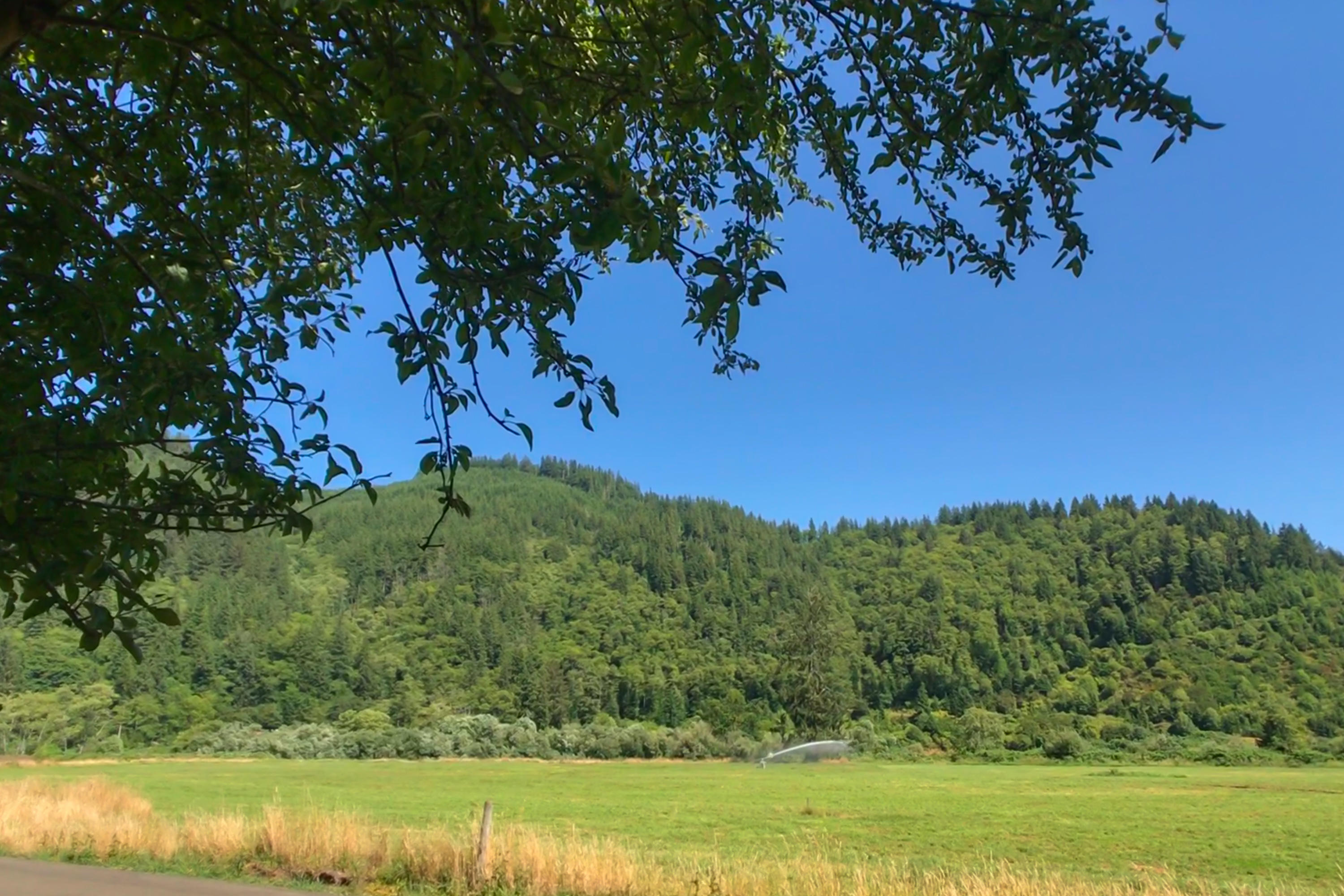 8000 Kilchis River Road Tillamook, OR 97141 - Photo 4 of 43 View