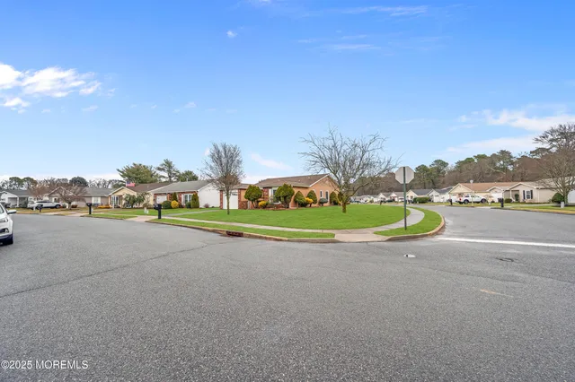 a view of a park with large trees