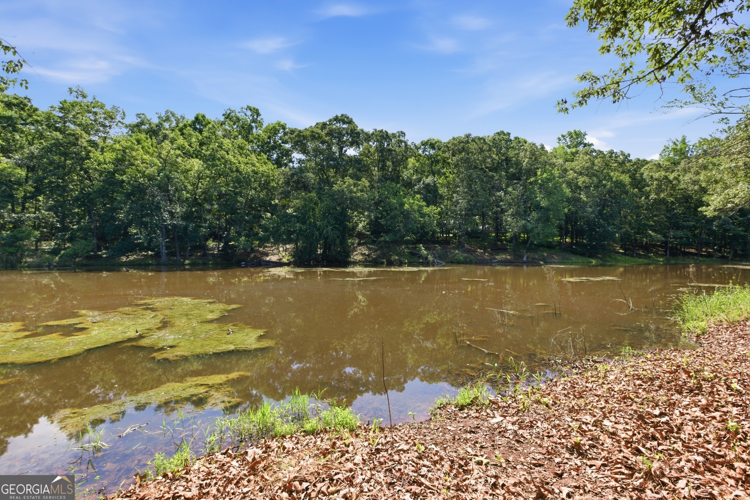 171 Winding Way Hartwell, GA 30643 - Photo 5 of 37 a view of a lake with a yard