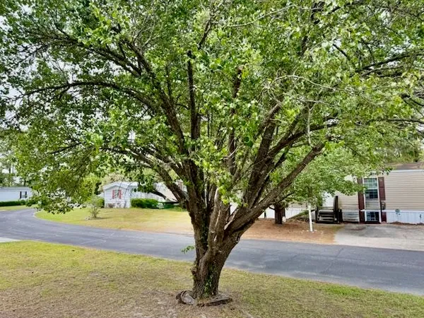 $119,900 | 980 Jamestown Road, Conway, SC 29526