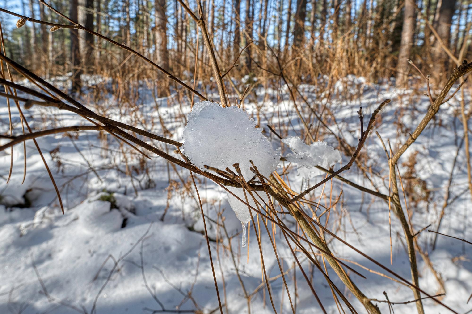 Off Deerskin Road, Unit LOT 3 Eagle River, WI 54521 - Photo 14 of 25 Gallery Image 14