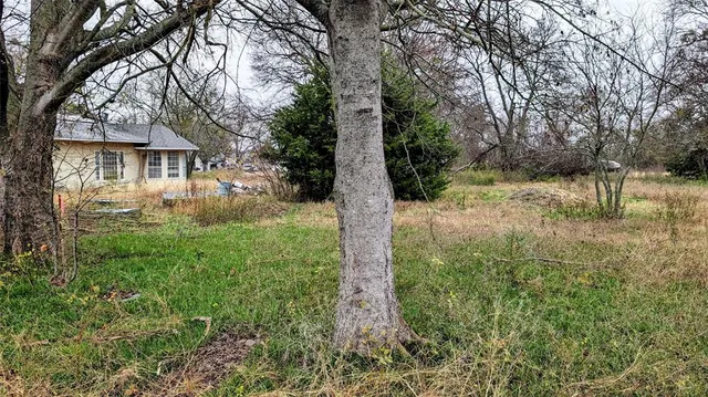 a view of backyard of house with green space