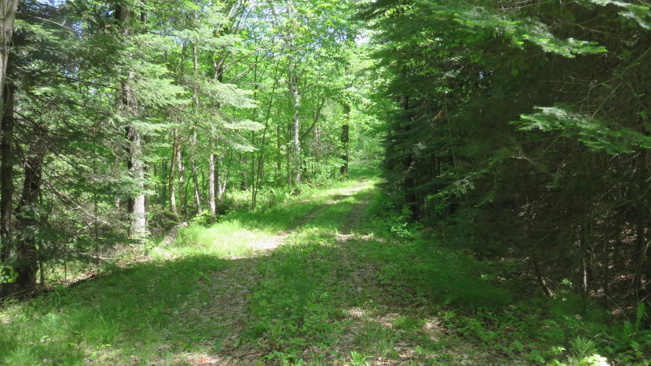 Lot On Townsite Road Presque Isle, WI 54557 - Photo 36 of 36 Gallery Image 36
