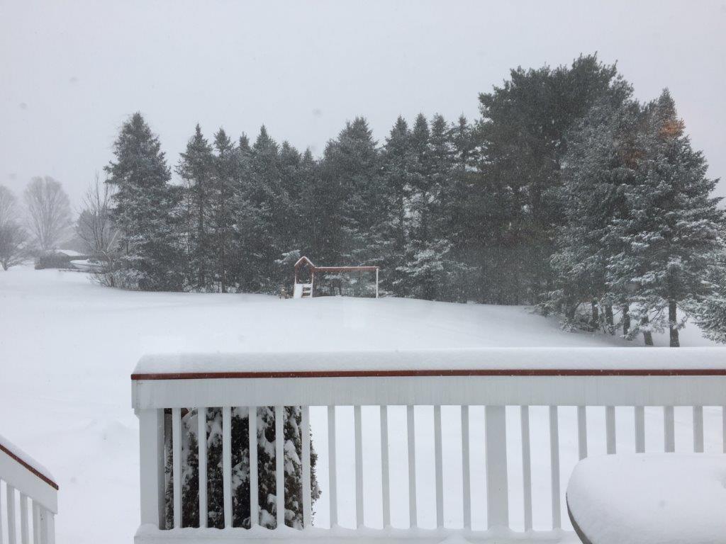 365 Center Road Fairfield, ME 04937 - Photo 22 of 24 Backyard
