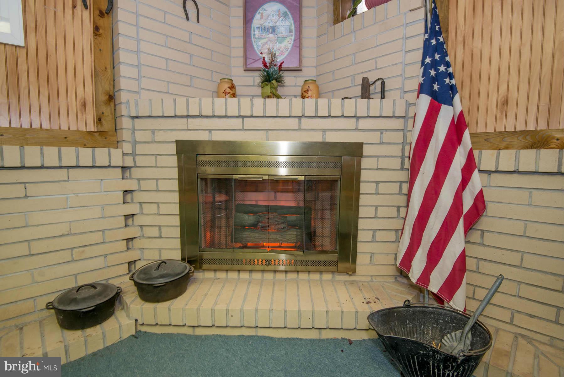 2115 Cockspur Road Baltimore, MD 21220 - Photo 14 of 29 Fireplace