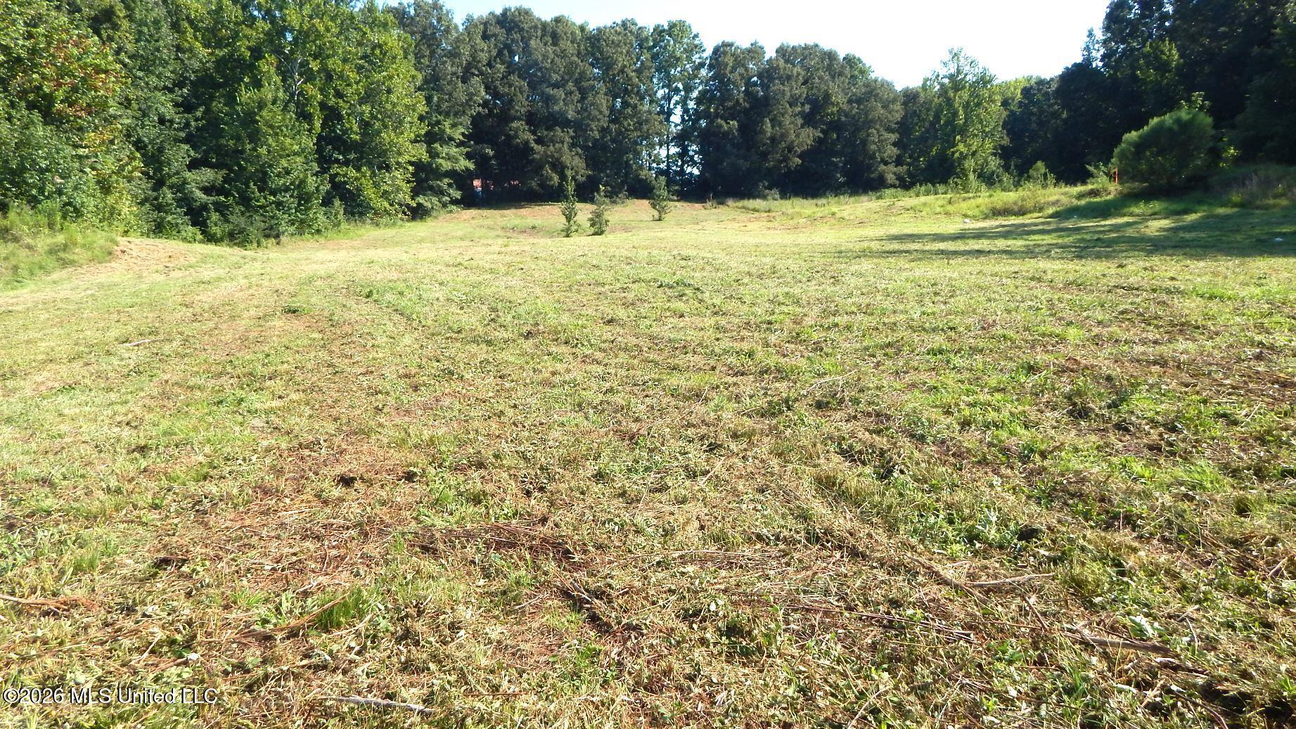 400 Arkabutla Dam Road Coldwater, MS 38618 - Photo 8 of 15 DSCN7563