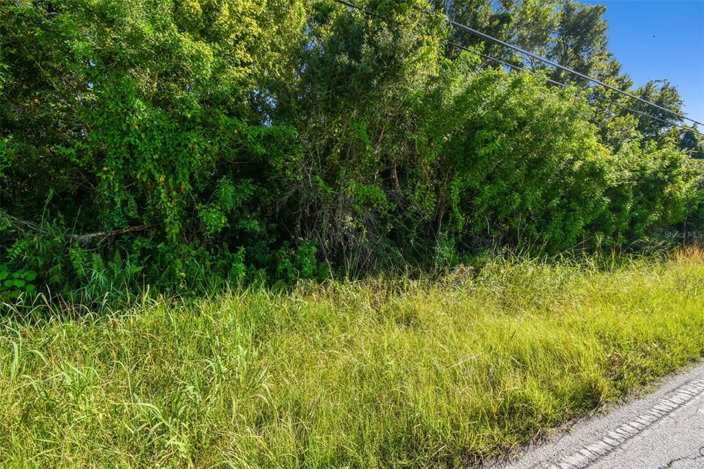 11632 Bill Tucker Road Wimauma, FL 33598 - Photo 17 of 23