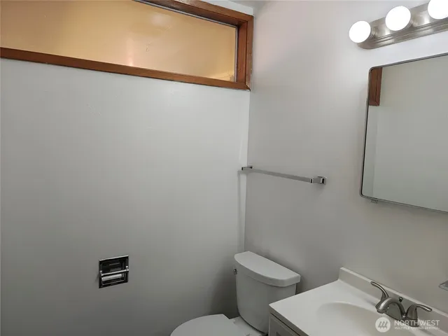 a view of a yard with large trees