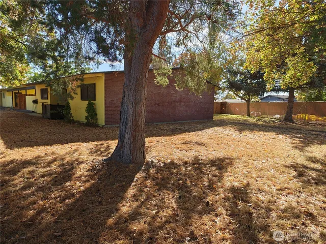 a view of a yard with large tree and wooden fence
