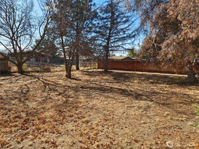 a view of dirt yard with trees