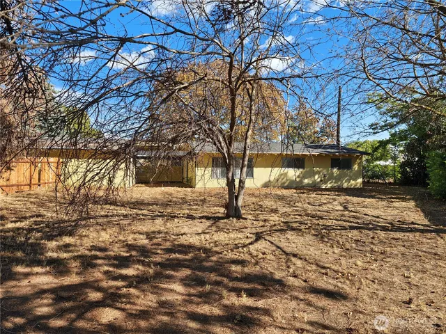 a view of yard with trees