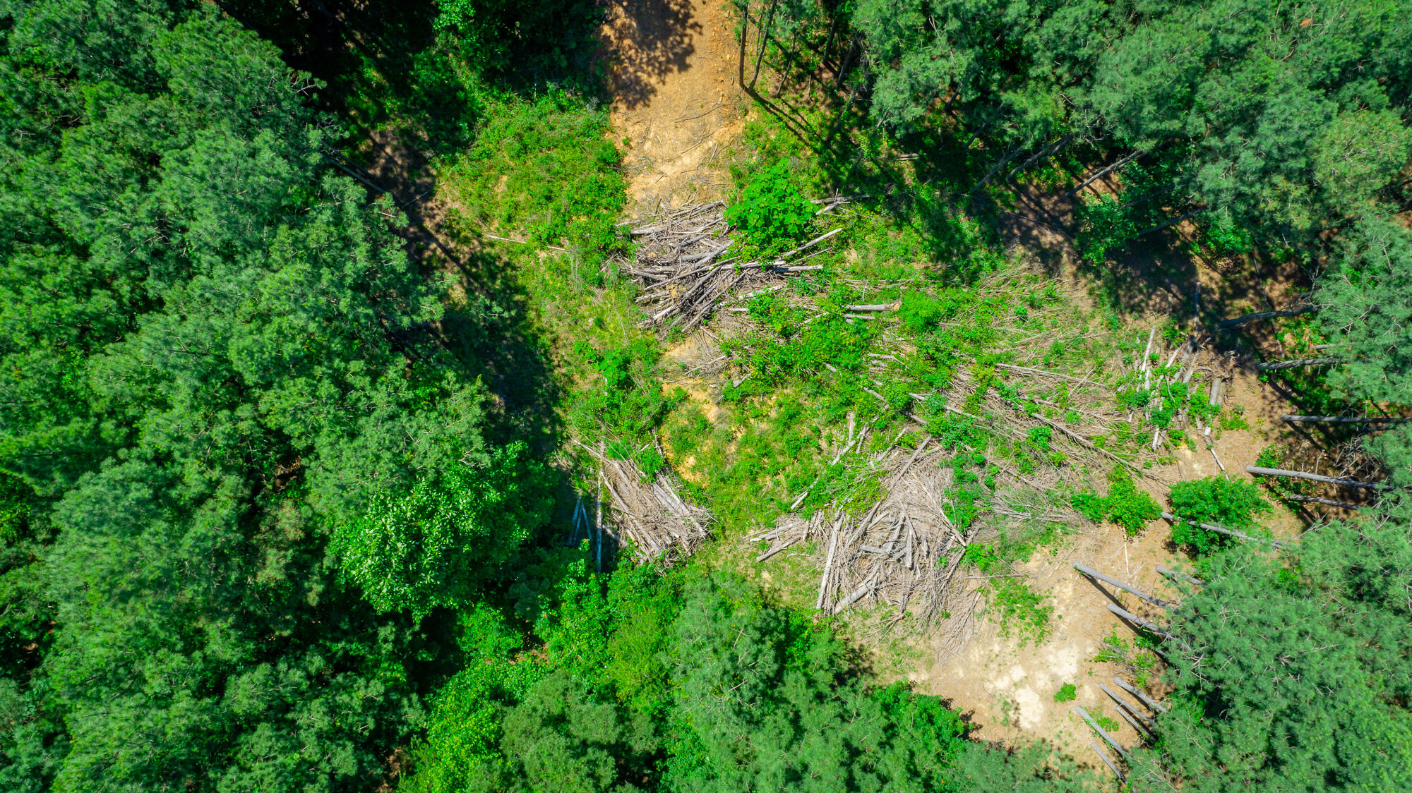0 Split Rail Way, Unit LOT 1163 Guild, TN 37340 - Photo 73 of 118 River Gorge Lot 1163 HD-60