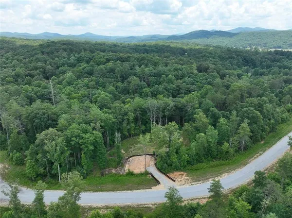 a view of a city with lush green forest