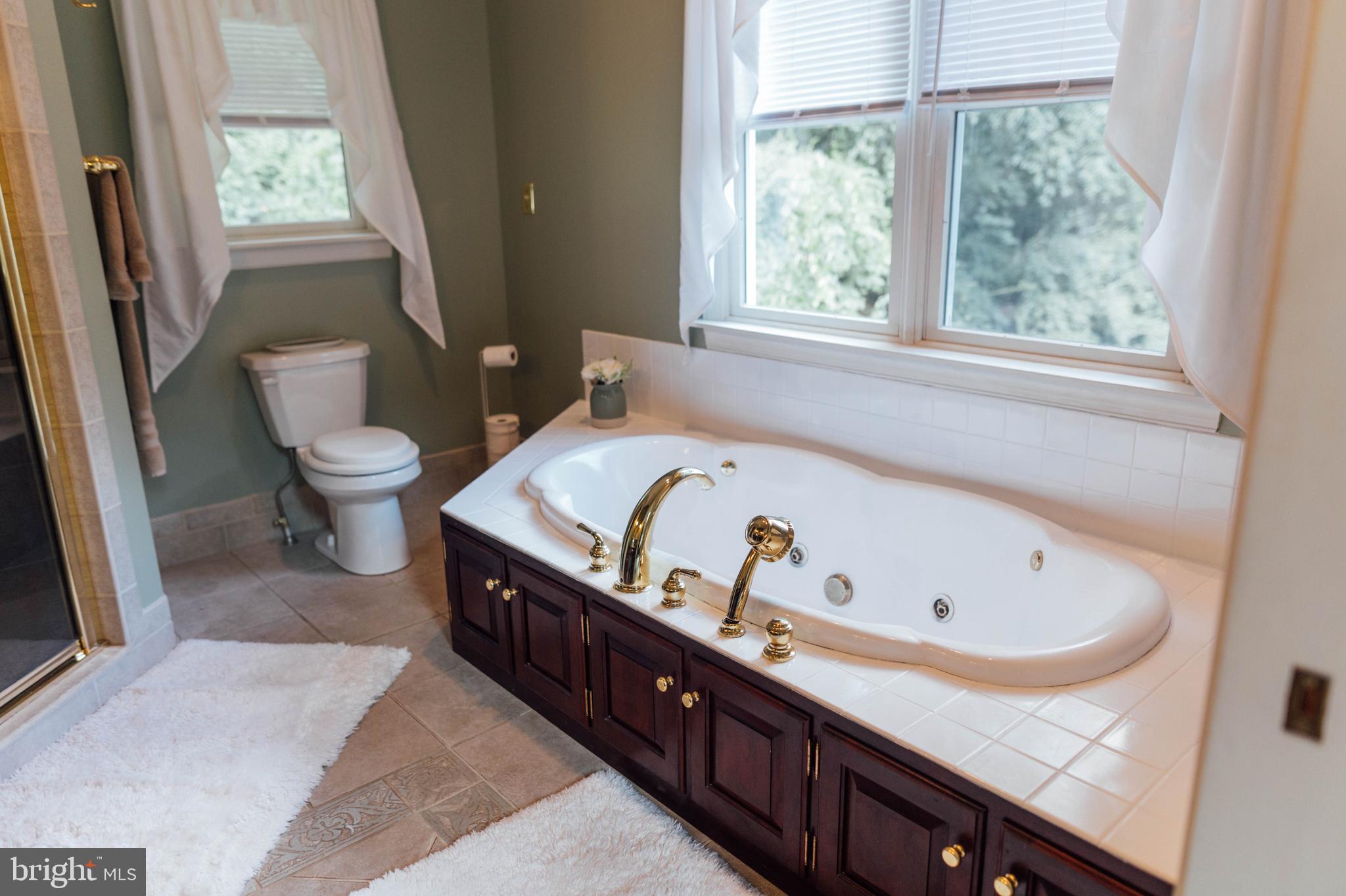 7 Slitting Mill Road Glen Mills, PA 19342 - Photo 37 of 54 Primary Bath