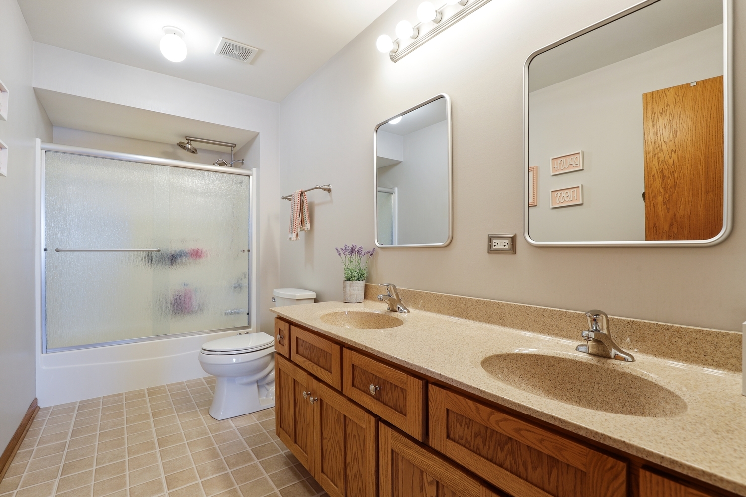 14710 Heathcliff Road Homer Glen, IL 60491 - Photo 18 of 27 a bathroom with a double vanity sink toilet mirror and shower