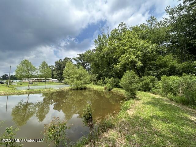2096 Swilley Road Wesson, MS 39191 - Photo 80 of 86 IMG_4363