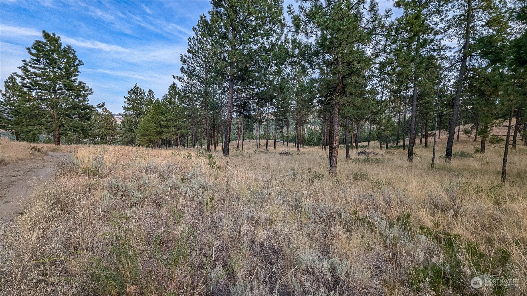 607 J H Green Road Riverside, WA 98849 - Photo 14 of 37 Gallery Image 14
