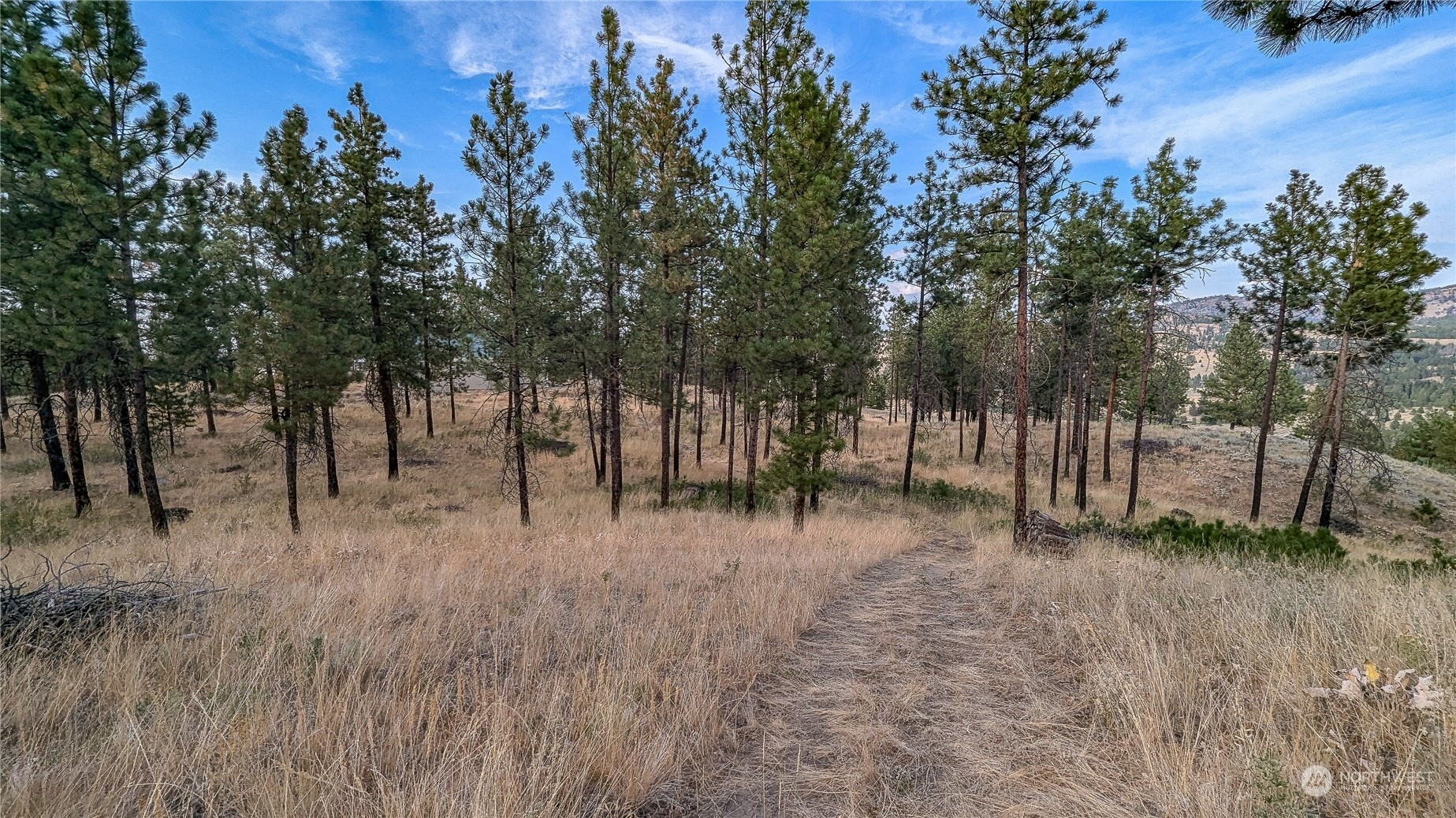 607 J H Green Road Riverside, WA 98849 - Photo 15 of 37 Gallery Image 15