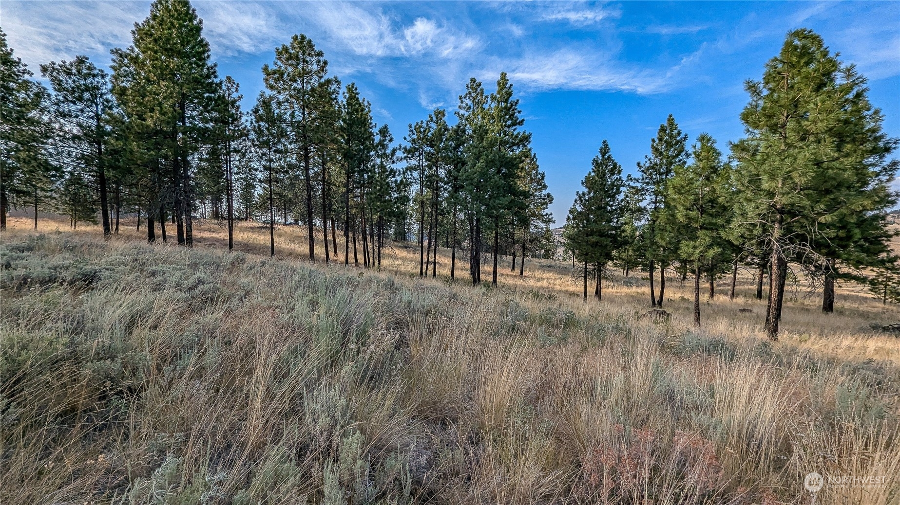 607 J H Green Road Riverside, WA 98849 - Photo 16 of 37 Gallery Image 16