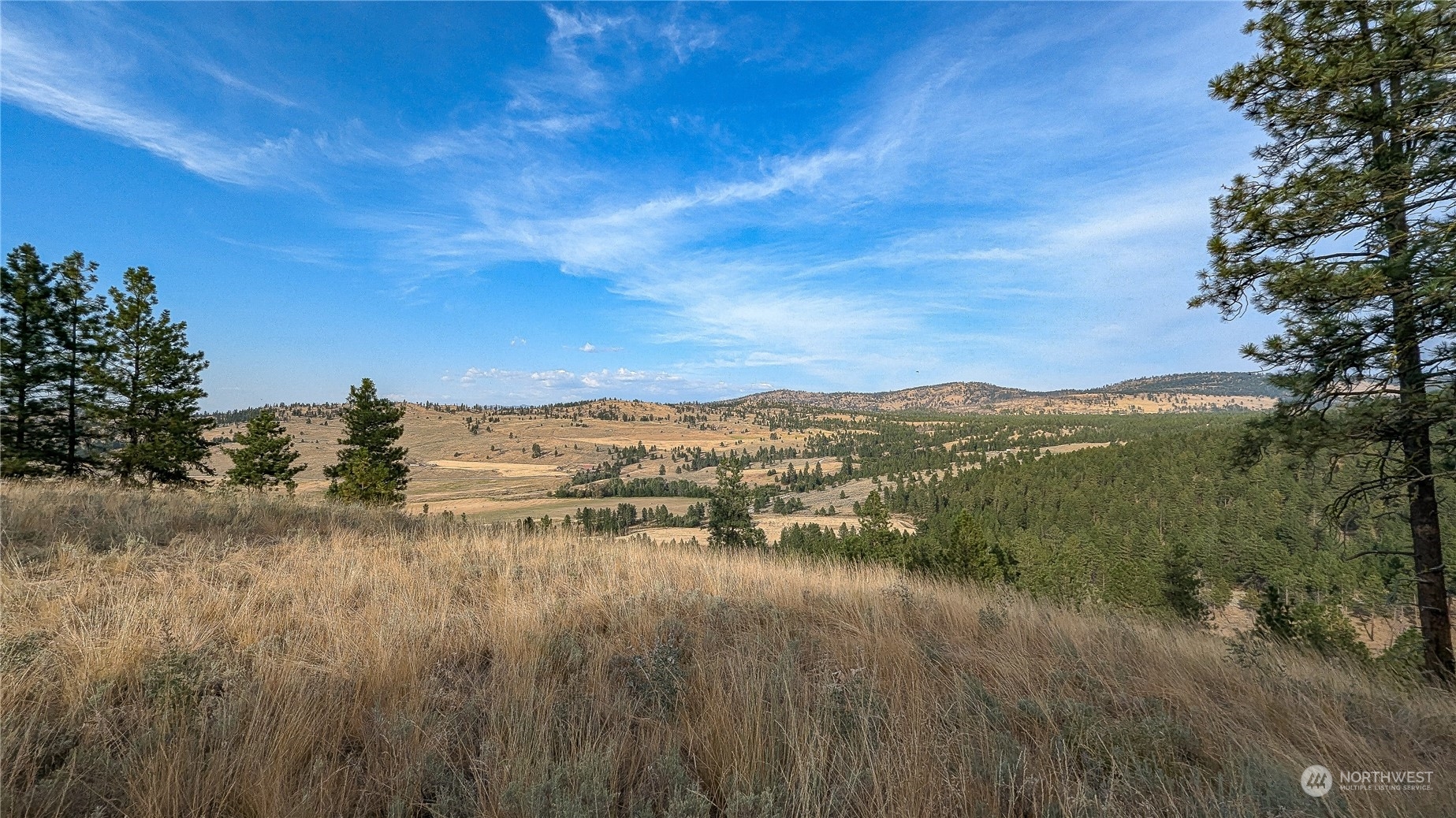 607 J H Green Road Riverside, WA 98849 - Photo 17 of 37 Gallery Image 17