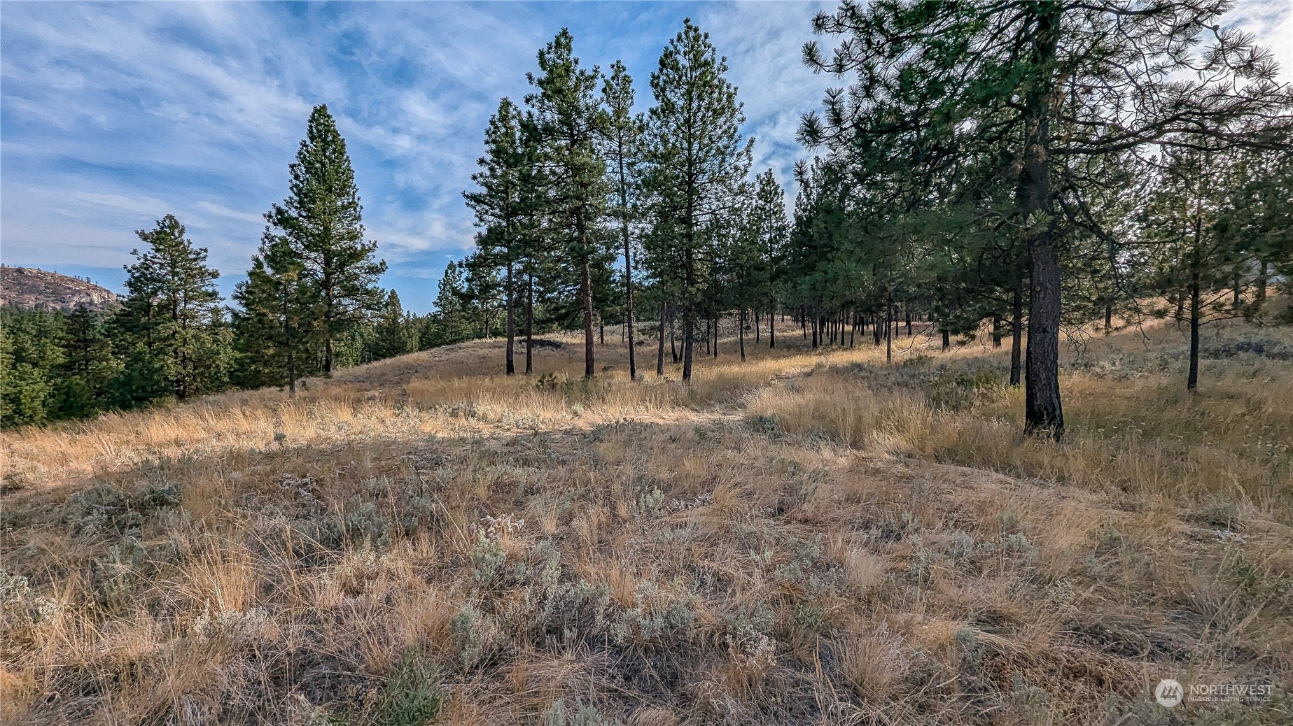 607 J H Green Road Riverside, WA 98849 - Photo 18 of 37 Gallery Image 18