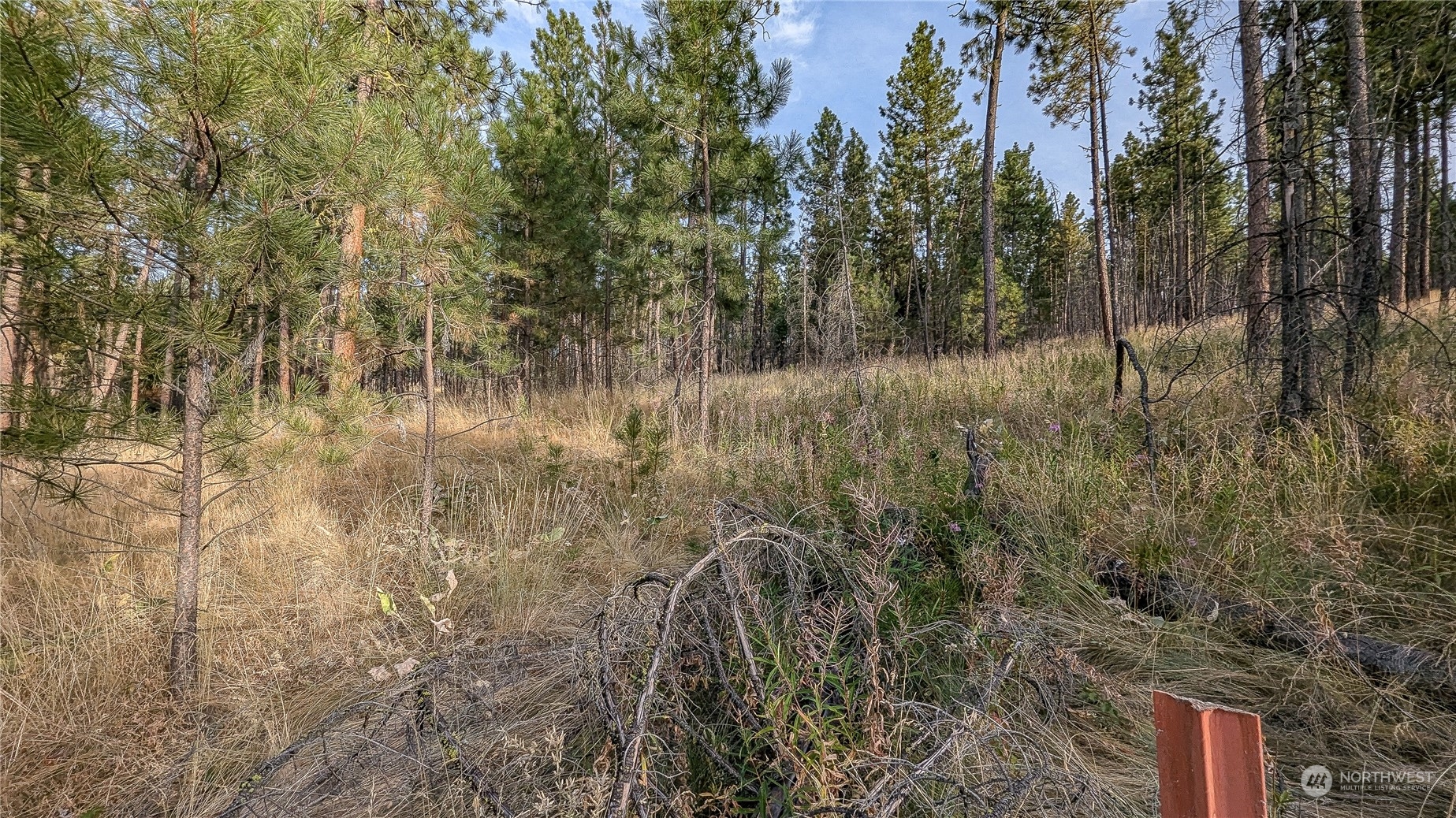 607 J H Green Road Riverside, WA 98849 - Photo 19 of 37 Gallery Image 19