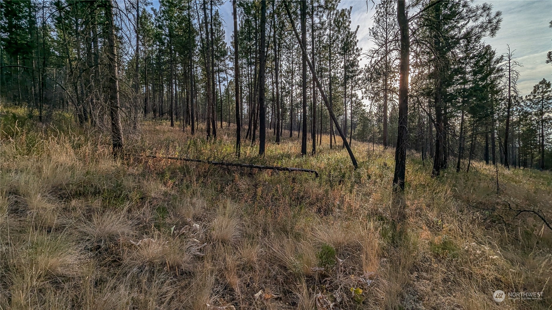 607 J H Green Road Riverside, WA 98849 - Photo 20 of 37 Gallery Image 20