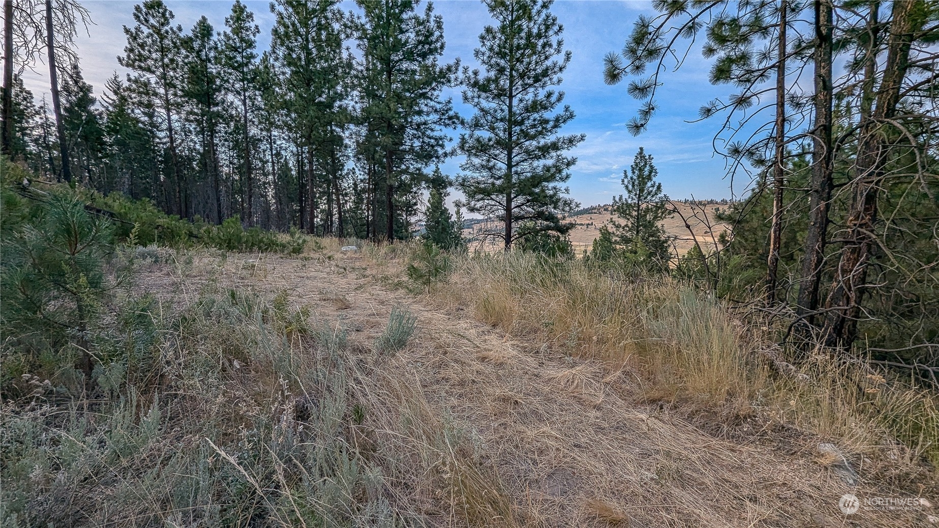 607 J H Green Road Riverside, WA 98849 - Photo 21 of 37 Gallery Image 21