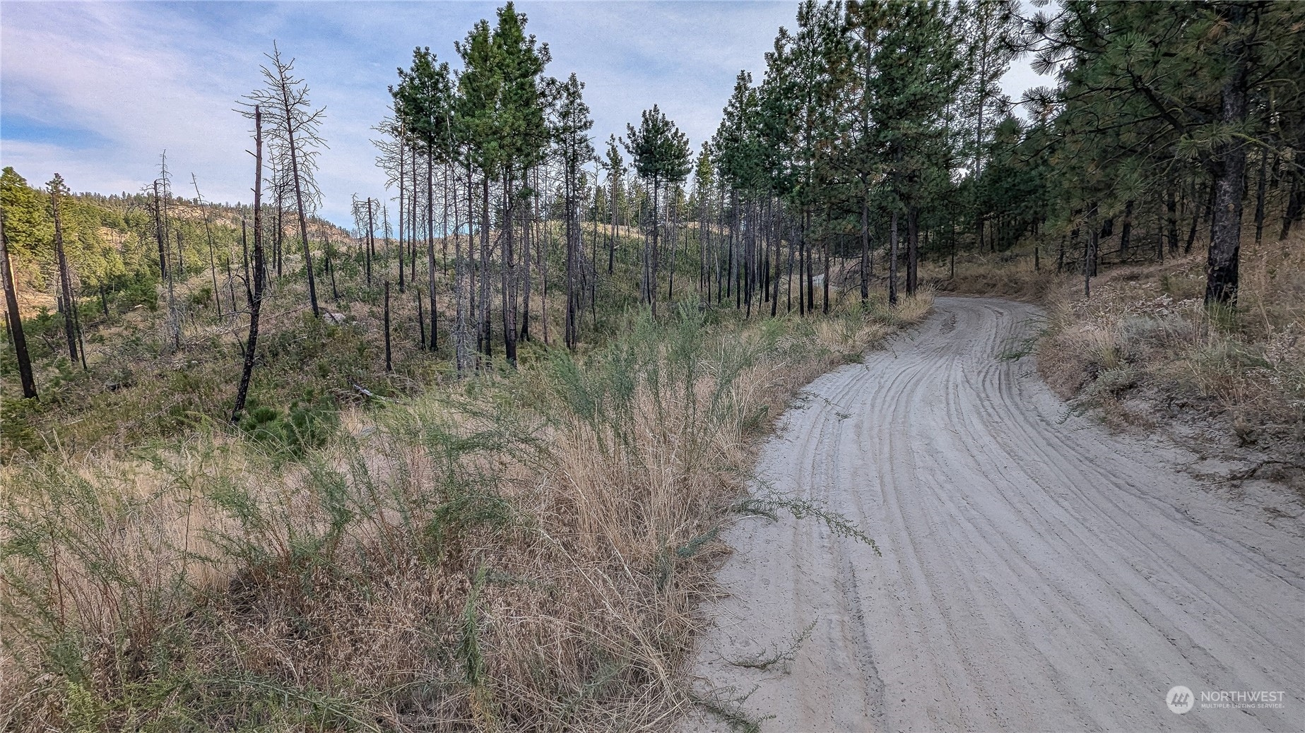 607 J H Green Road Riverside, WA 98849 - Photo 22 of 37 Gallery Image 22