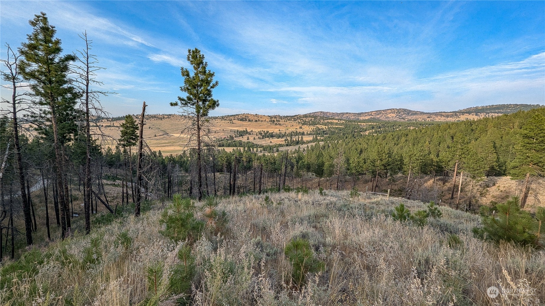 607 J H Green Road Riverside, WA 98849 - Photo 23 of 37 Gallery Image 23